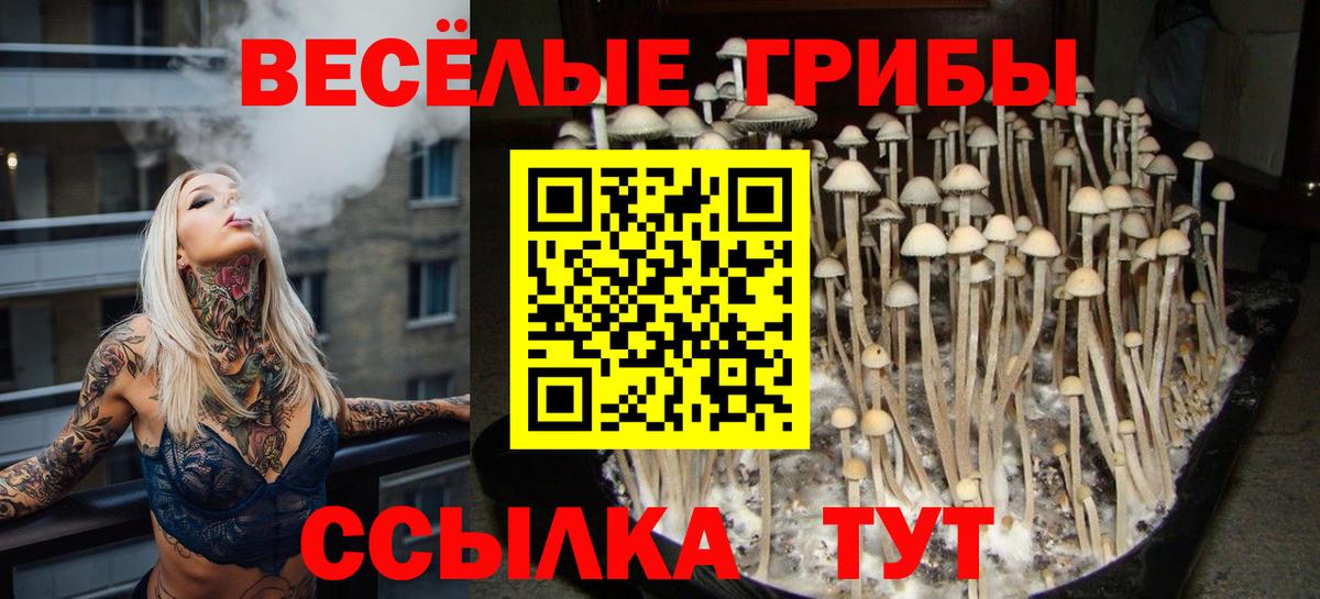 как найти закладки  Псилоцибиновые грибы Psilocybe  Вход с VPN  Балашиха 